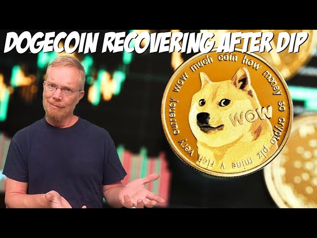 Dogecoin erholt sich nach großem Einbruch