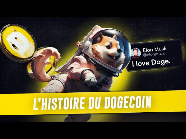 DIE GESCHICHTE VON DOGECOIN, DIESEM HUND IM WERT VON 25 MILLIARDEN