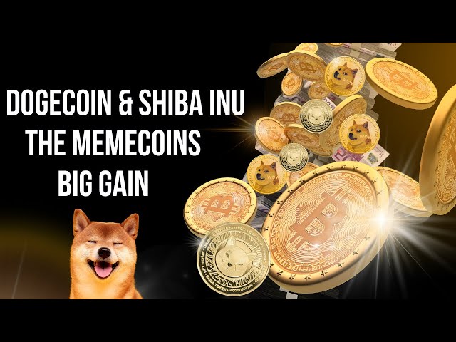 Dogecoin & Shiba Inu Die Memecoins haben großen Zuwachs