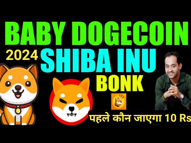 Baby-Dogecoin-Update heute || Shiba Inu-Neuigkeiten || Bonk-Coin-Preisvorhersage 2024 || Babydoge-Neuigkeiten