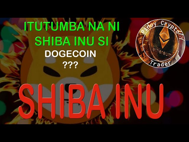 Shiba Inu – Dogecoin wird für immer ausgeschaltet sein