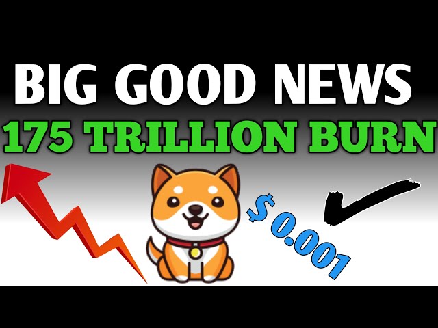 Baby Dogecoin 주요 업데이트 📣 Baby Doge의 공급량, 모든 것을 알아보세요 🙏 오늘의 Baby Dogecoin 소식