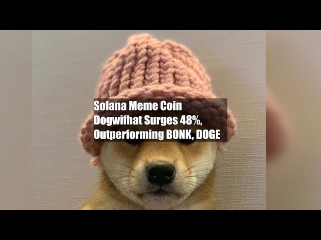 Solana Meme Coin Dogwifhat 48% 급등, BONK, DOGE를 능가