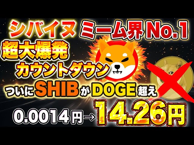 시바견 코인 [보유자 축하] DOGE를 넘어 밈 세계 1위가 되어보세요! 초폭발 카운트다운 시작 [가상화폐] [시바리움]