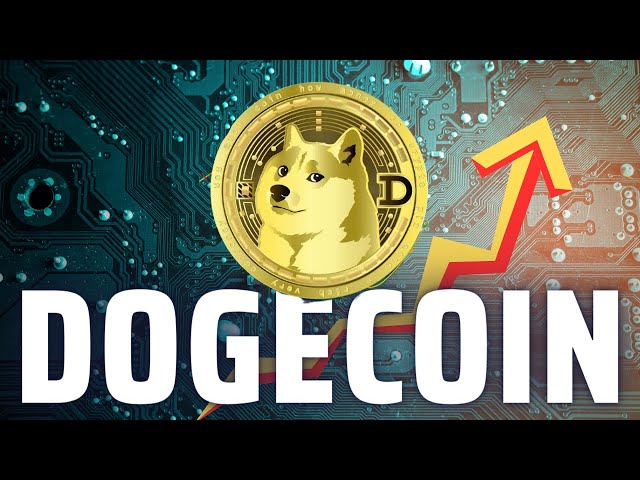 DOGECOIN 실시간 거래: 암호화폐 신호 및 시장 통찰력 #Crypto #CryptoSignals #AltcoinSignals