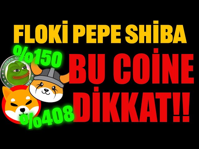 FLOKİ PEPE SHIBA THIS COINE! WHICH HAS THE GREATEST POTENTIAL? #floki #pepe #shib #bonk #dogecoin #shiba