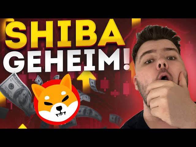 Geheime SHIBA INU-Informationen! Wichtig! Shiba Inu Deutsch