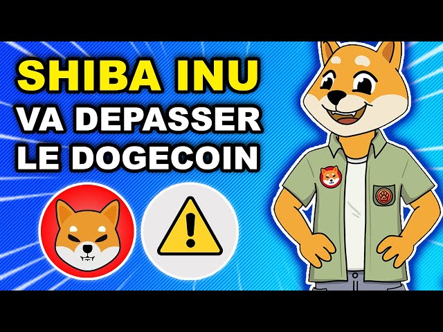 🚨 SHIBA INU wird DOGE überholen?! SHYTOSHI spricht darüber 🚀 3 KRYPTO FÜR 2024 🔥 (SHIB-Krypto-News)