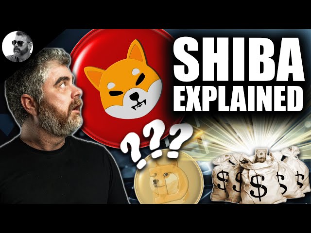 SHIBA INU-Preisvorhersage 2024 (Crypto-Experte enthüllt SHIB-Bewertung)