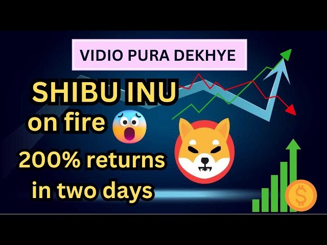 POWER Of SHIBA INU 2일 200% 수익률 😱#bitcoin #stockmarket #investing #tradingstrategy #crypto