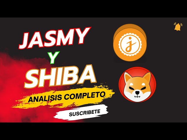 JASMY UND SHIBAINU DAS WIRD MIT DER PREISAKTION PASSIEREN ✅ | NUTZEN SIE DIE GELEGENHEIT | #shiba