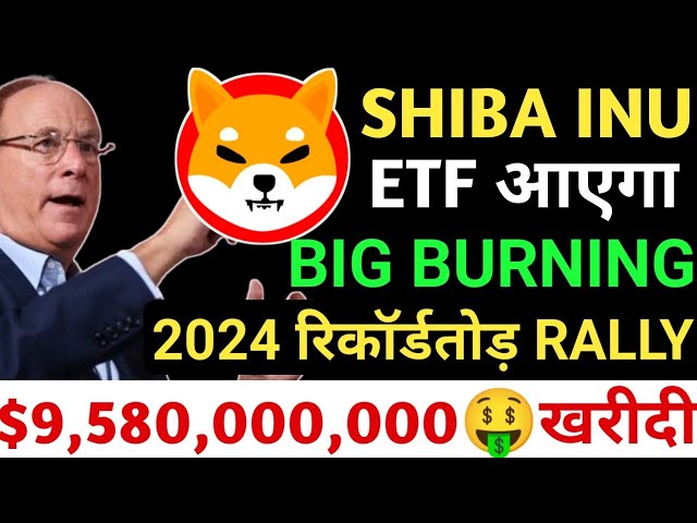 Der SHIBA INU ETF wird kommen🤑wird den Rekord im BULL RUN brechen🔥9.580.000.000 $ gekauft🤯Einstieg in die TOP 5 #shiba #shibainu