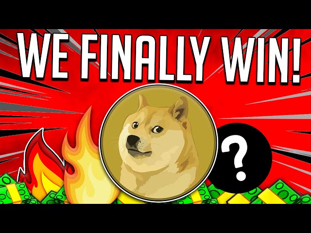 DOGECOIN-INHABER X ELON MUSK WIR GEWINNEN! - DOGE-UPDATE HEUTE! - DOGE-Preisvorhersage