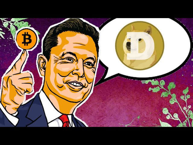 Elon Musk achète énormément de crypto ! - Bitcoin, Ethereum, Cardano, DogeCoin, Solana, XRP, BNB, Shiba Inu