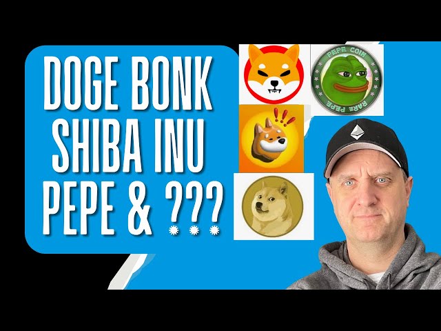 🚀🔥 DOGE、BONK、PEPE、SHIBA INU 和 ??? 🚀🔥 你现在需要看到这个！