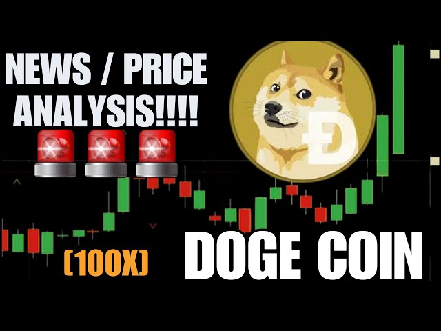 DOGECOIN-PREISVORHERSAGE 💥 WIRD DOGE COIN IM JAHR 2024 PEPECOIN UND SHIBA INU DOMINIEREN