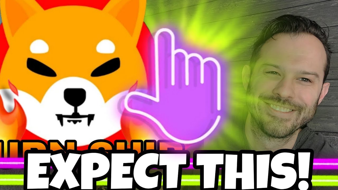 Shiba Inu Coin | Traders Expect A Rebound In The Price Of SHIB!