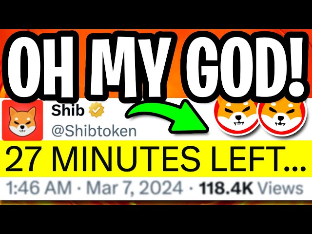 SHIBA INU: THEY JUST WENT MAD !!!! COMPLETELY OUT OF CONTROL! (NO JOKE!) - SHIBA INU COIN NEWS TODAY