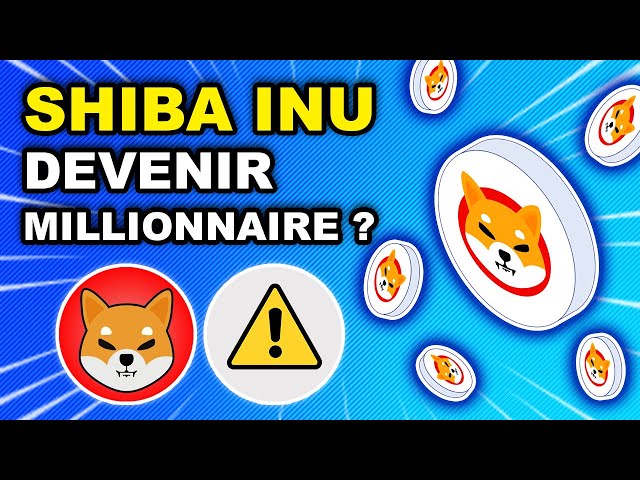 🚨 SHIBA INU: Become a MILLIONAIRE this BULLRUN? 🚀 DOGE has 1 DOLLAR 🔥 ELON MUSK (SHIB crypto news)