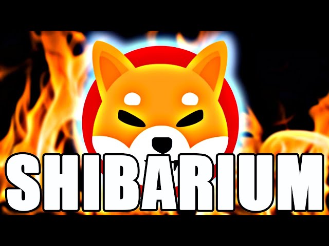 SHIBA INU : UNE POLÉMIQUE DO SHIBARIUM !!