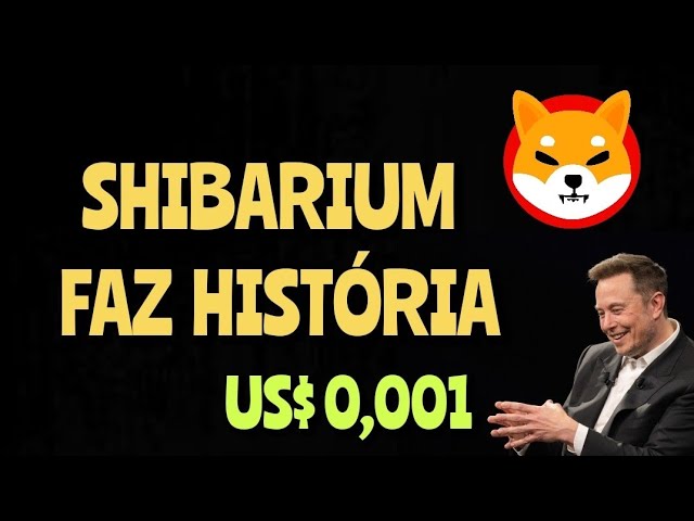 VOIR LE POTENTIEL DU RÉSEAU SHIBA INU