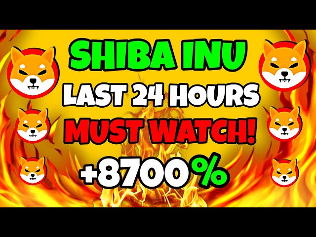 SHIBA INU COIN ENFIN 🔥 LE MESSAGE URGENT DU PDG DE SHIB RÉVÉLÉ 🚨 PRÉDICTION DU PRIX SHIB