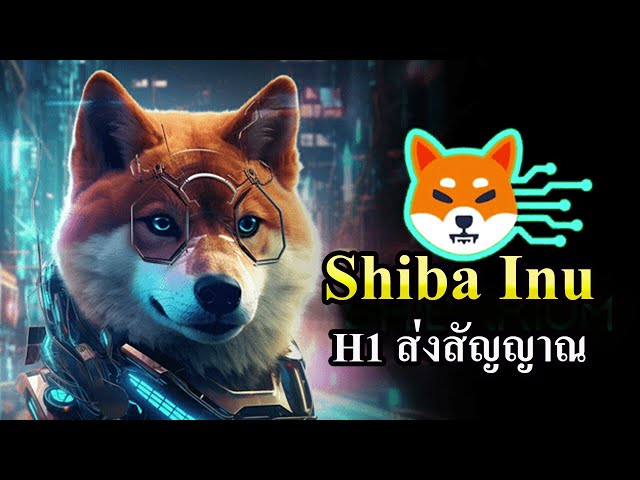 Shiba Inu a brûlé 146 millions de dollars pour le maintenir au 10e rang des plus grandes cryptomonnaies au monde