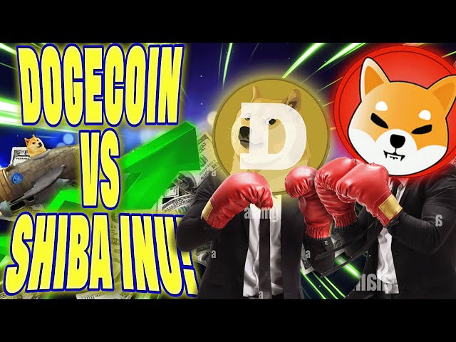 🚨Dogecoin gegen Shiba Inu! | Dogecoin X-Zahlungsupdate!🚨