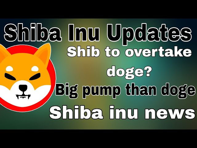 Shiba Inu Pour dépasser le doge ? | MC | shib grosse pompe comparer au doge | Shiba news Crypto Squad Telugu 2.0