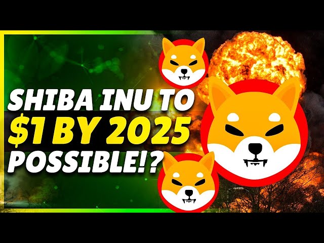 SHIBA 1$ PROCHAIN ​​DÉPLACEMENT 2025 ? DOGECOIN 10X BIENTÔT | MISE À JOUR BITCOIN ET TOP ALTCOIN 100X EN HINDI #crypto