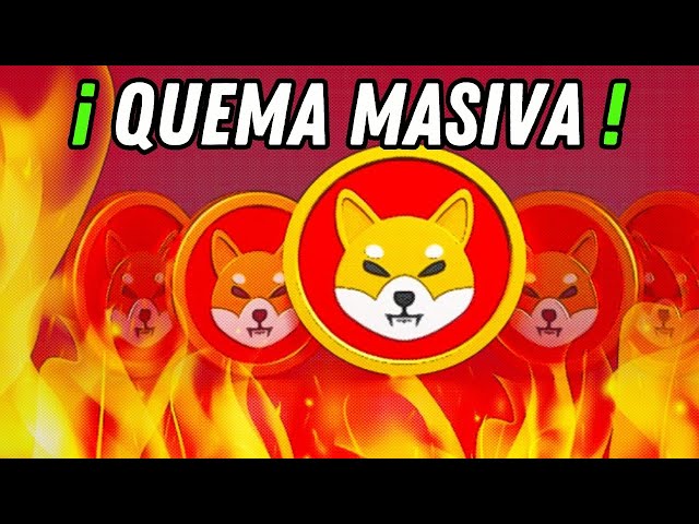 柴犬 ¡ ¡柴犬 ANUNCIA QUEMA MASIVA !!!! #shibainu #shiba #shib #pepe #dogecoin #bitcoin