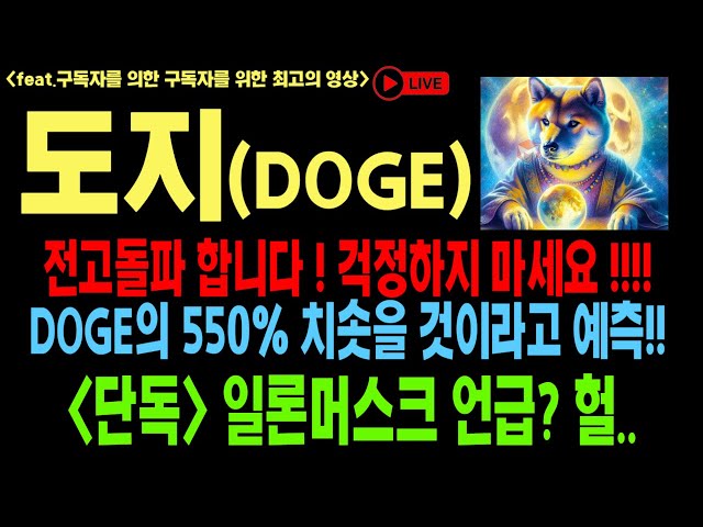 Dogecoin Doge Dogecoin Ausblick DOGE SHIB Elon Musk Coin Ausblick Bitcoin Ethereum Dogecoin