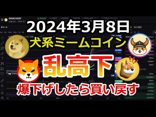 Die auf Hunden basierenden Meme-Münzen Dogecoin DOGE, Shiba Inu SHIB, Floki FLOKI und Bonk BONK haben seit ihrer Explosion wilde Höhen und Tiefen erlebt [8. März 2024 DOGE SHIB FLOKI BONK Krypto-Asset virtuelle Währung]