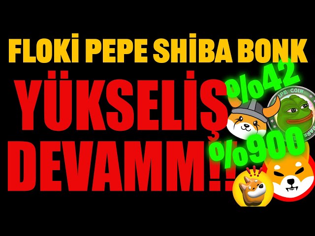 FLOKİ PEPE SHIBA BONK GRANDE HAUSSE !! LE RALLYE CONTINUE ! #floki #pepe #shib #bonk #dogecoin #shiba