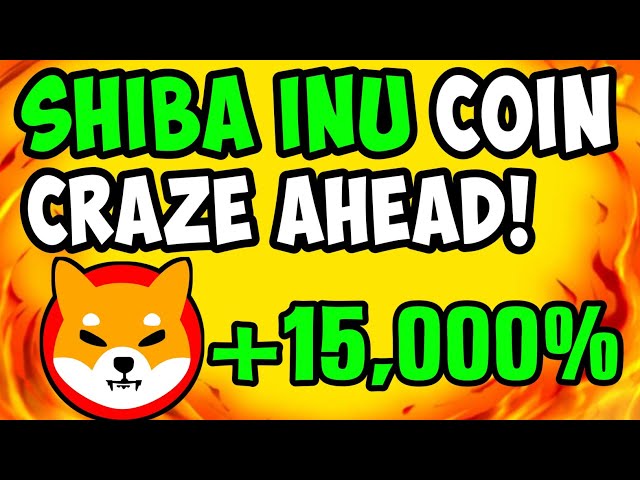 SHIBA INU : SI VOUS DÉTENEZ SEULEMENT 1 MILLION DE JETONS SHIB, VOUS POURRIEZ DEVENIR LE 1% -SHIBA INU COIN NEWS AUJOURD'HUI