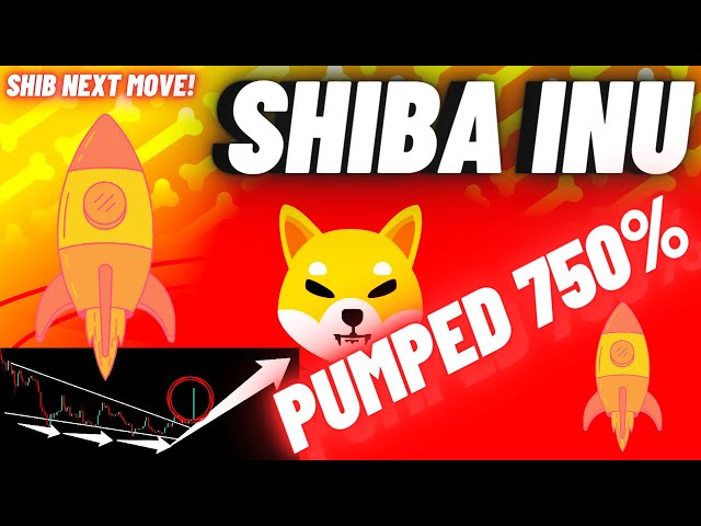 SHIBA INU Crypto Coin pompé à 750% | Et ensuite ?