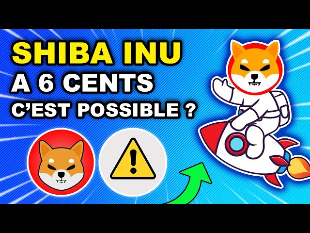 🚨 SHIBA INU 0.06 가능할까요? 🔥 BONE이 BINANCE에 상장되나요? 🚀 KNINE +240% (SHIB 암호화폐 뉴스)