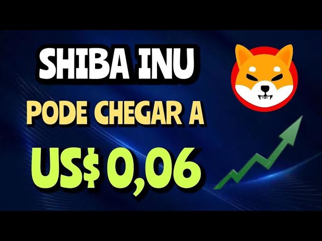 SHIBA INU - 기대가 큽니다.