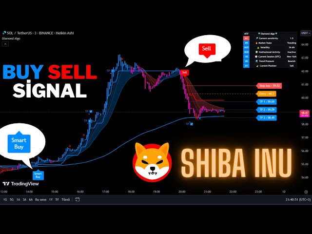 🔴실시간 시바견(SHIB) 5분 매수/매도 신호-트레이딩 신호-스캘핑 전략-다이아몬드 알고리즘-
