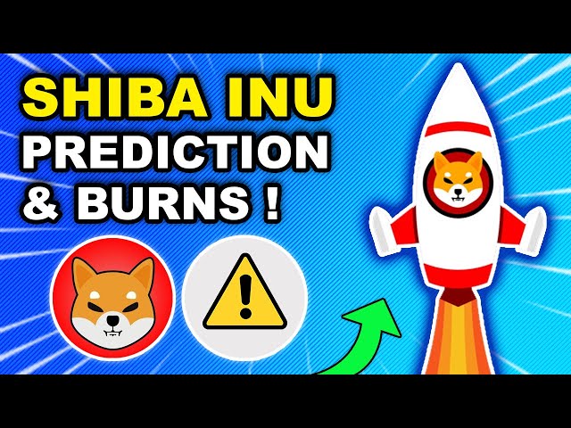 🚨 SHIBA INU: 곧 대규모 소각 🔥 3월 중순 가격 예측 🚀 ELON MUSK & SHIB! (암호화 뉴스)