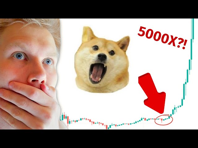 下一个施巴??！ Doge Eat Doge OMNOM 2024 年价格预测