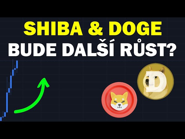 Doge Coin 和 Shiba Inu - 增长会持续吗？这是需要注意的事情！