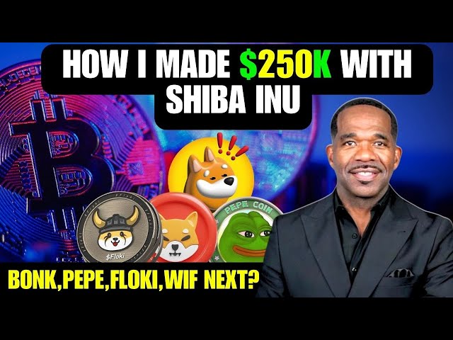 J'ai gagné 250 000 $ avec Shiba-inu, Will Bonk ou PEPE Next ?