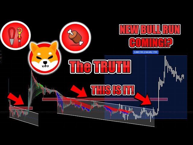 SHIBA INU 70X BULLRUN À VENIR en 2024 !? La VÉRITÉ sur SHIB, BONE et LEASH MASSIVE BULLRUN À VENIR !