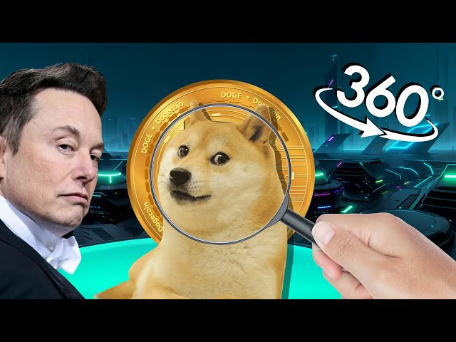 Trouvez le Dogecoin avant Elon Musk !! - en VR 360º | 4K