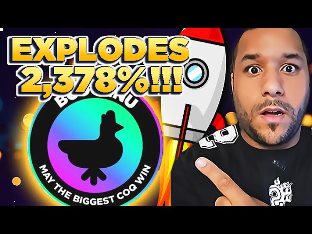 🔥OMG !! LE COQ INU NOIR EXPLOSE 23X EN 1 JOUR SEULEMENT !! CELA VA SUR LA LUNE COMME COQ INU L'A FAIT ! (URGENT!)