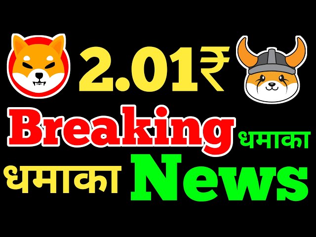 역대급 업데이트 폭발 속보 📣 SHIBA INU 코인 뉴스 오늘 ✅ 2024년 Shiba Inu 코인 가격 예측