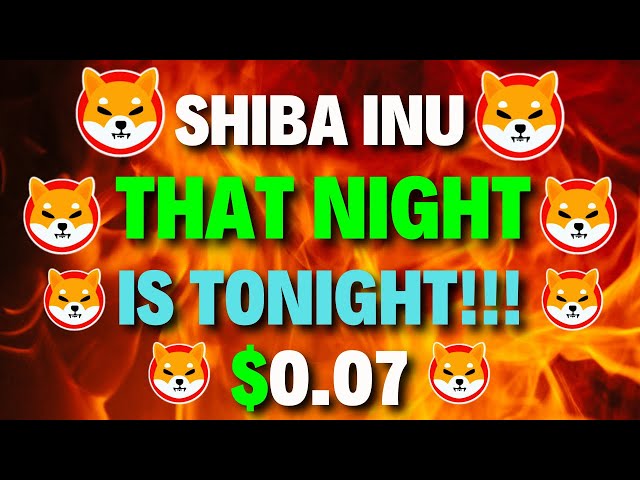 SHIBA INU 코인 경고! 멈출 수 없는 펌프가 온다! SHIB 가격 예측