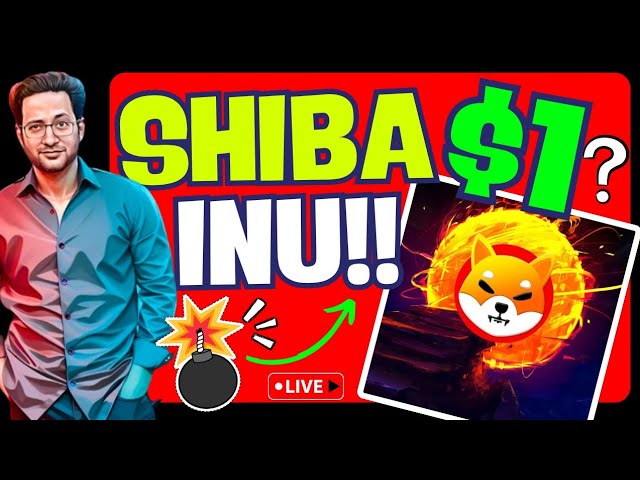 🚀 Shiba Inu $1 - 오늘 Shib 가격 예측 및 뉴스 업데이트 📊