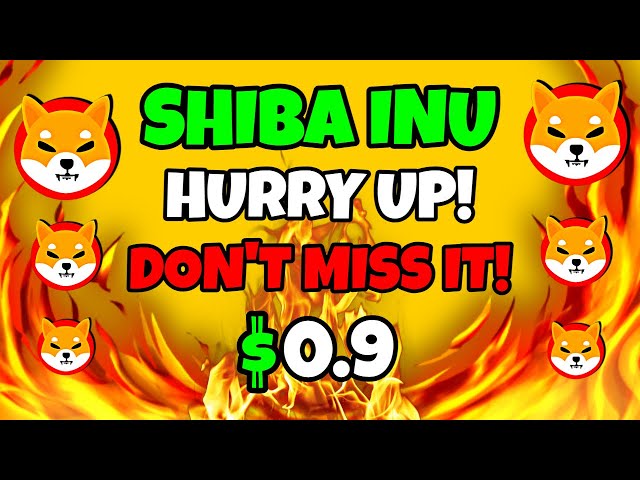 SHIBA INU 코인이 드디어 🔥 대규모 고래 대상이 유출되었습니다! 🚨 SHIB 가격 예측